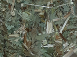 Basilic feuille - vrac
