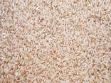 Riz long complet - vrac