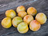 Prunes jaunes Corse