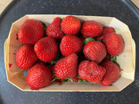Fraises Charlotte