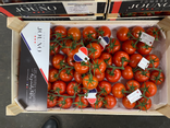 Tomates Grappe Jouno