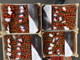 Tomates cerises Jouno
