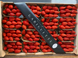 Fraises Gariguette
