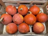 Potimarron
