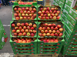 Pommes Juliet