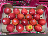 Pommes Pink Lady