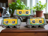 Oeufs Plein Air x6