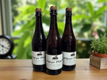 Cidre brut - Vergers de Picardie de 75cl