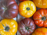 Tomates Anciennes