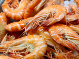 Crevettes Madagascar