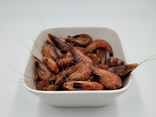 Crevettes Grises