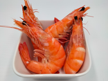 Grosses crevettes roses