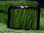 Haricot vert ébouté barquette 250g