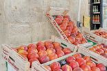 Au Temps des Fruits