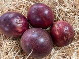 Fruit de la passion