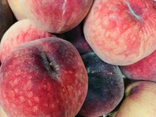Au Temps des Fruits