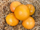 Pomelos rose