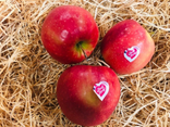 Pomme Pink Lady