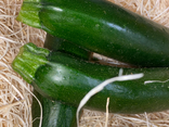Courgette