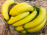 Banane