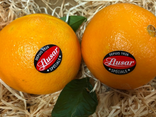 Au Temps des Fruits