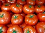 Tomate ronde