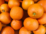 Au Temps des Fruits
