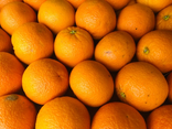 Orange à jus