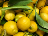 Au Temps des Fruits