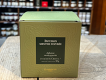 Infusion menthe poivrée - Dammann