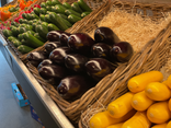 Aubergine