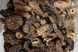 Morilles séchées
