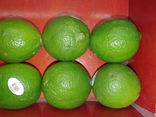 Citron vert