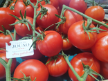 Tomates Jouno
