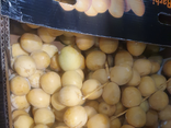 Date fraîche