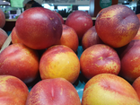 Nectarines blanches