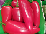 Jalapinou