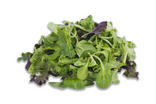 Mesclun