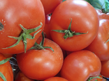 Tomate ordinaire