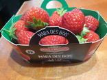 Fraises mara des bois