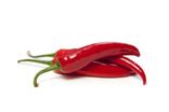 Piment oiseau