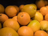 Oranges à jus