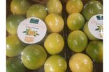 Fruit de la passion blanc