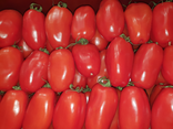 Tomates olivettes +/- 500g     C   '   wx