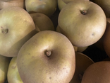 Pommes canada