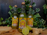 Kombucha bio citron, gingembre