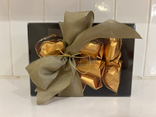 Marrons glacés x9