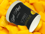 Sorbet mangue
