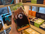Tablette chocolat au lait et noisettes
