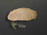 Escalpoe de veau panée